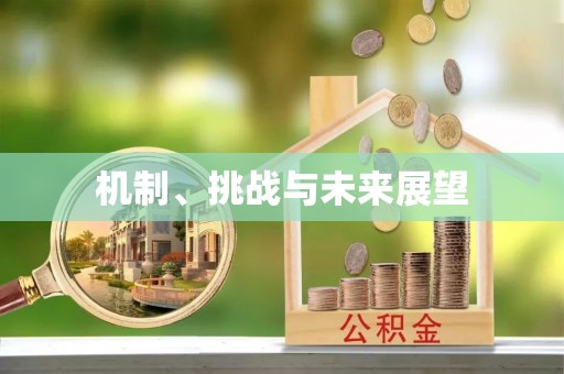 都匀机制、挑战与未来展望