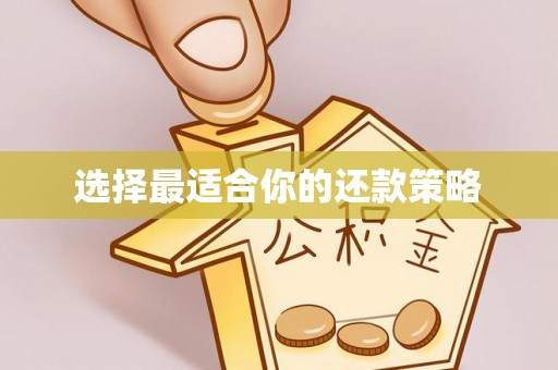 都匀选择最适合你的还款策略