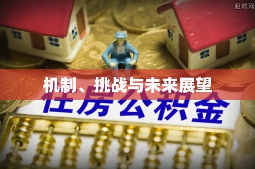 都匀机制、挑战与未来展望
