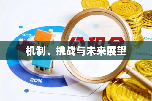都匀机制、挑战与未来展望